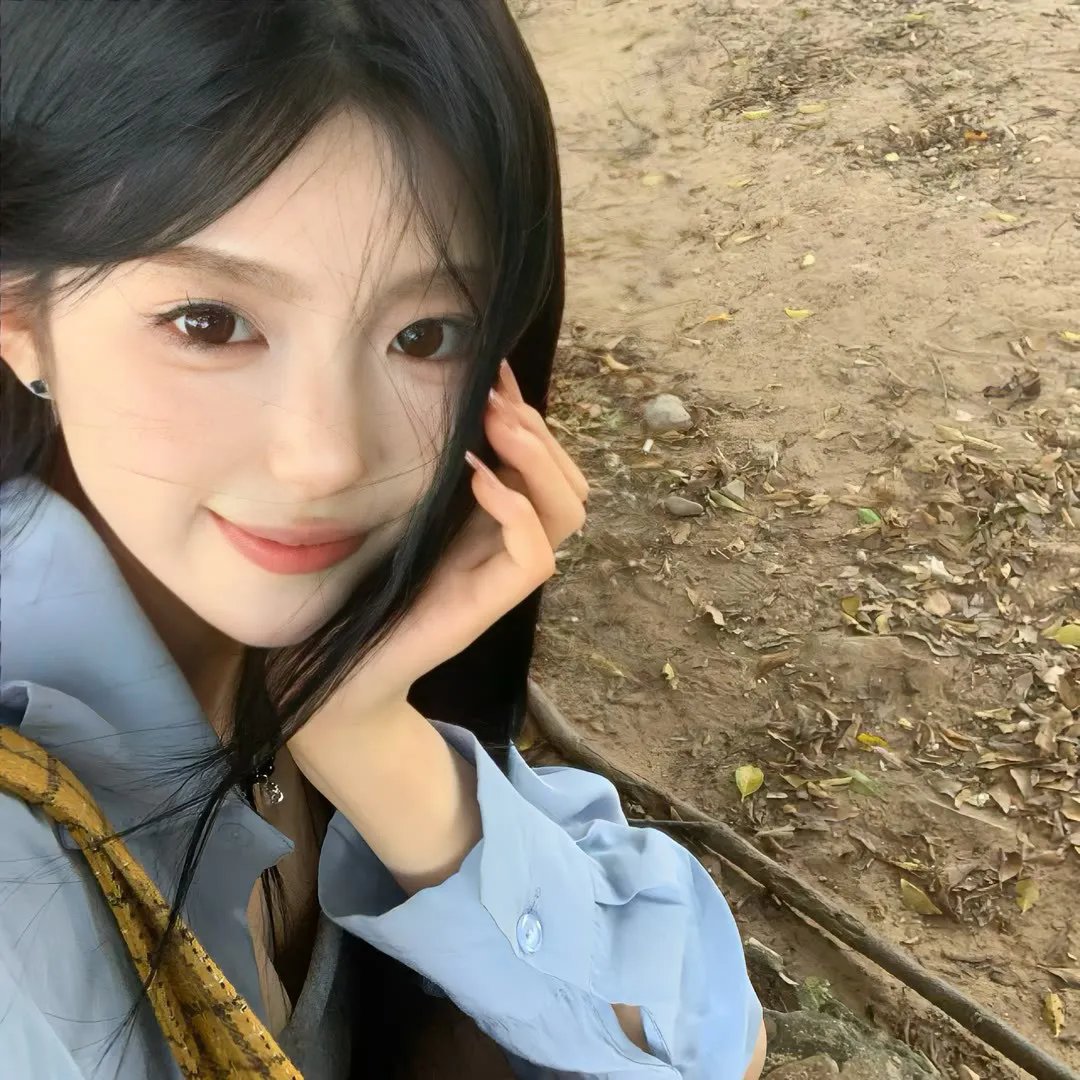 归来燕